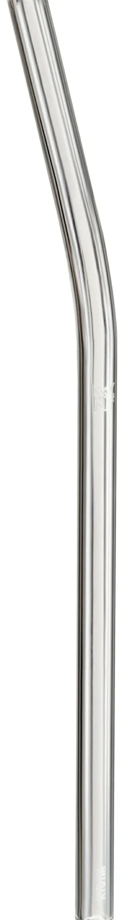 Trinkhalm-Set Baric Glas 6-teilig mit Reinigungsbü