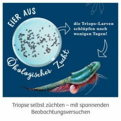 Triops-Welt - Leben aus der Urzeit