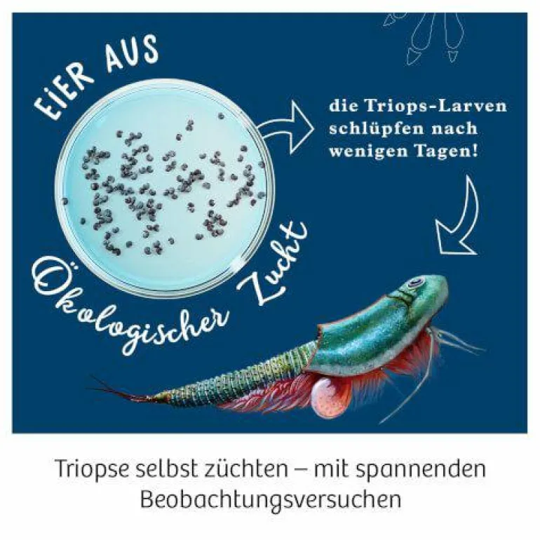 Triops-Welt - Leben aus der Urzeit