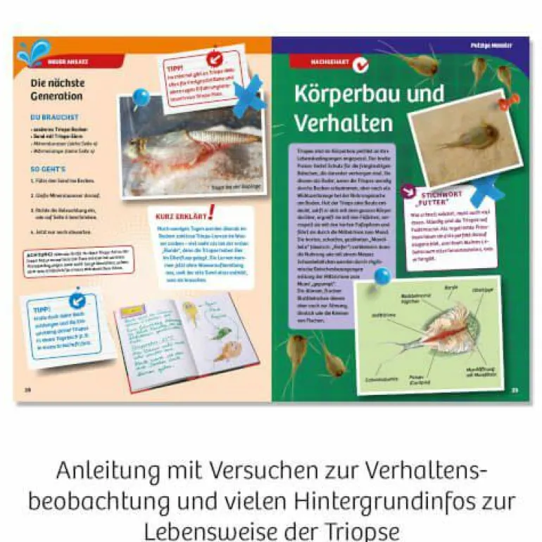 Triops-Welt - Leben aus der Urzeit