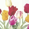 TULIPS white Lunch-Servietten L 856190