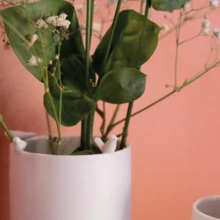 Vase „Vogelschwarm & Katze