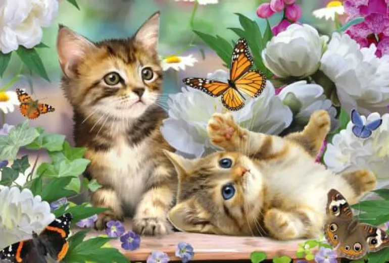 Verspielte Katzenbabys - Puzzle 150 Teile