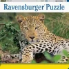 Vio die Leopardin - Puzzle 100 Teile