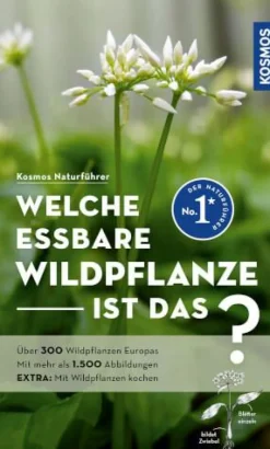 Welche essbare Wildpflanze ist das?