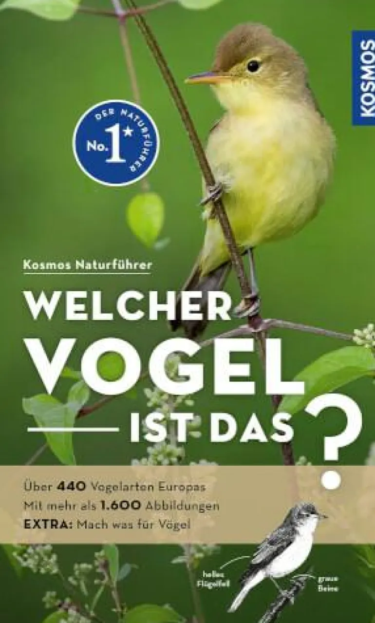 Welcher Vogel ist das?