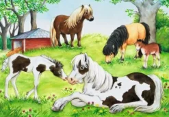 Welt der Pferde - Puzzle 2x24 Teile