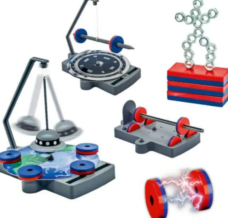 Wild & Cool - Großes Magnet-Set