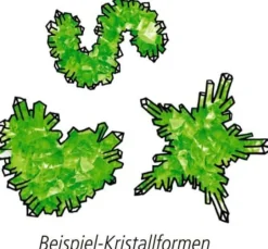 Wild & Cool - Kristalle selber züchten Kreativ-Box
