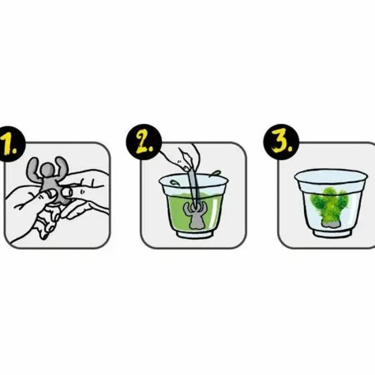 Wild & Cool - Kristalle selber züchten Kreativ-Box