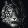 Wilderness, Tiger, Im Zeichen der Freiheit - Puzzl