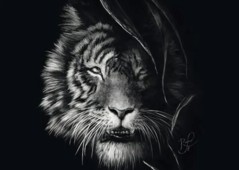 Wilderness, Tiger, Im Zeichen der Freiheit - Puzzl