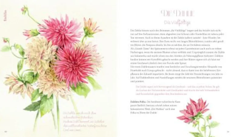Zysk, Inspirationen: Vom Zauber der Blumen