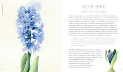 Zysk, Inspirationen: Vom Zauber der Blumen